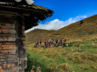 IMG_20240912_105532_1600