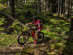 IMG_20240913_124602_1600
