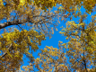 IMG_20241026_130155_1600