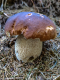 IMG_20240905_114327_1600